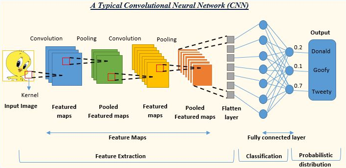 Convolutional Neural Network (CNN)